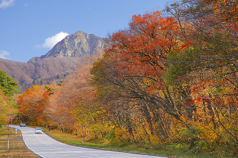 大山観光道路の紅葉